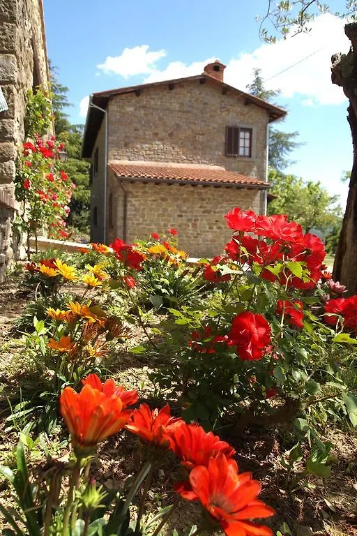 Villa Ai Cedri Cortona